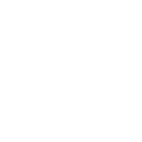 S-HANDE logo