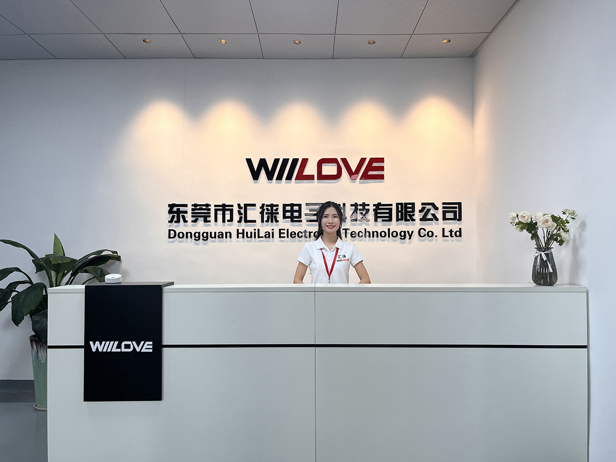 WIILOVE environment image from its official website