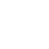 S-HANDE logo