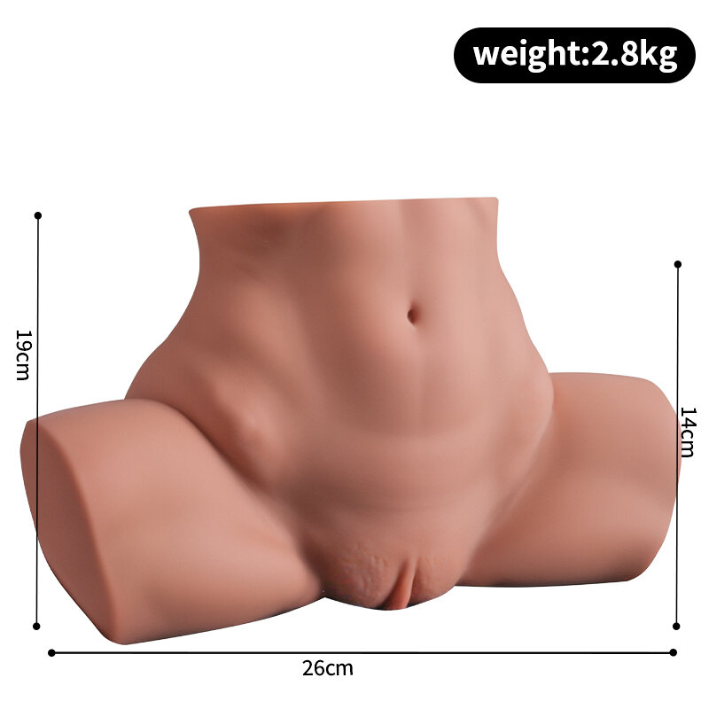 Anatomical Wellness Model — Style 538 — view 3