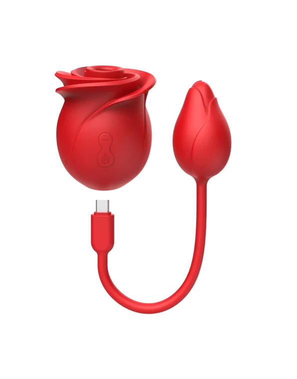 AISNN Rose Duo Symphony Suction Set (018123B)