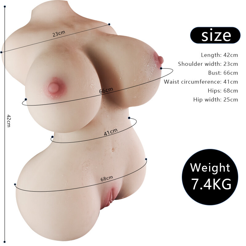 Anatomical Wellness Model — Style 86 — view 2