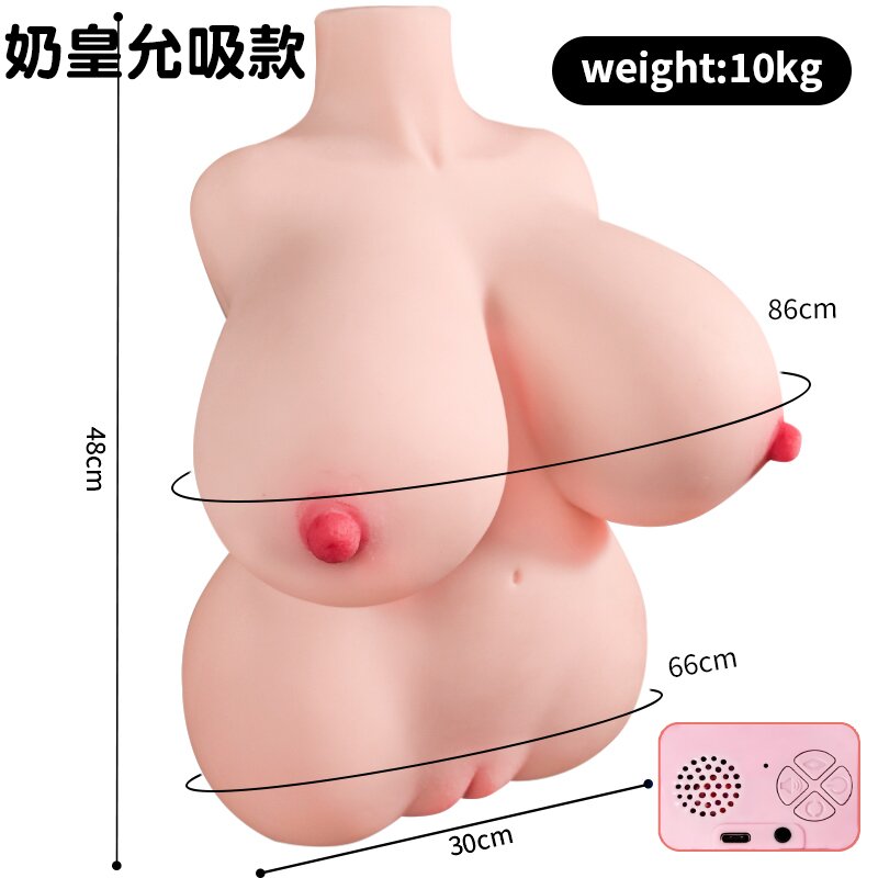 Anatomical Wellness Model — Style 254 (Compact)
