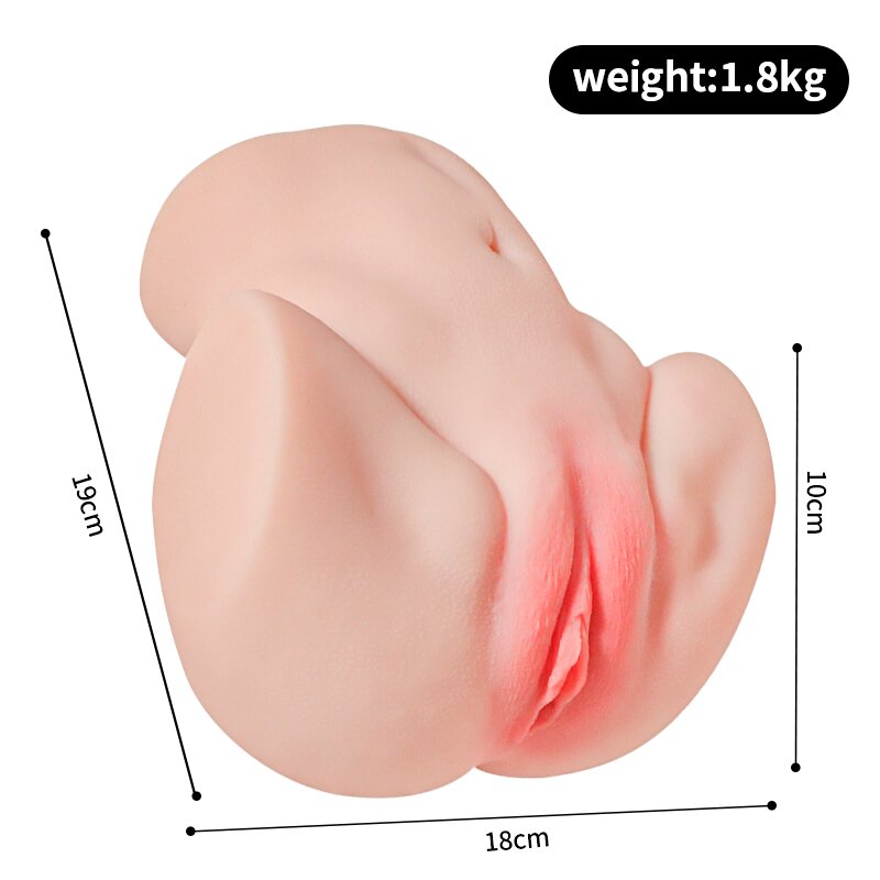 Anatomical Wellness Model — Style 261 (Compact) — view 6