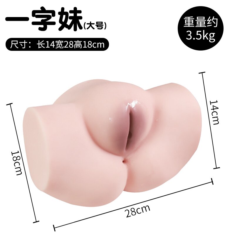 Anatomical Wellness Model — Style 325 — view 3