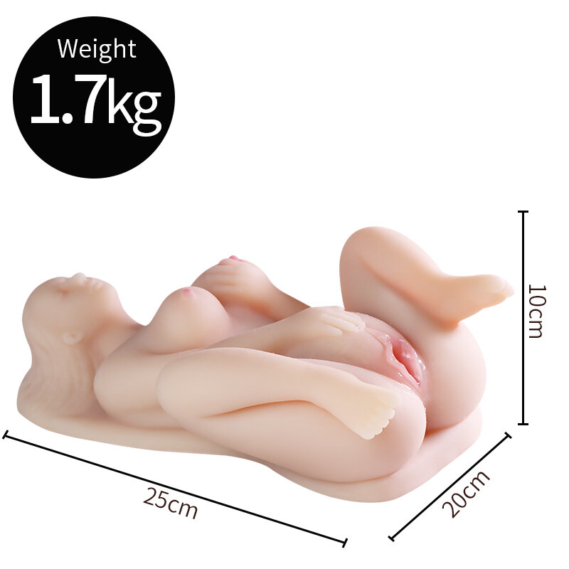 Anatomical Wellness Model — Style 364 — view 4