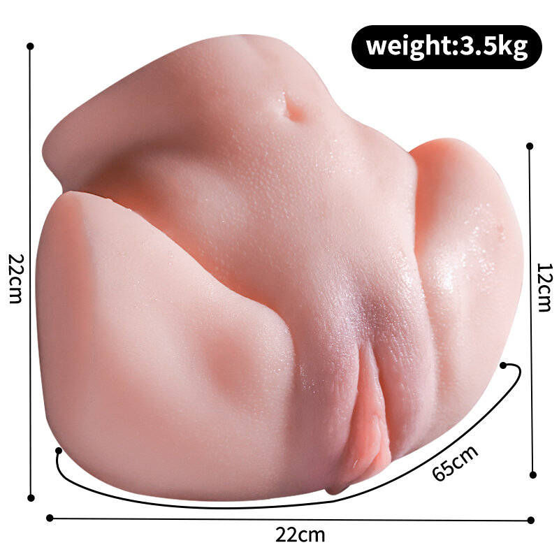 Anatomical Wellness Model — Style 492