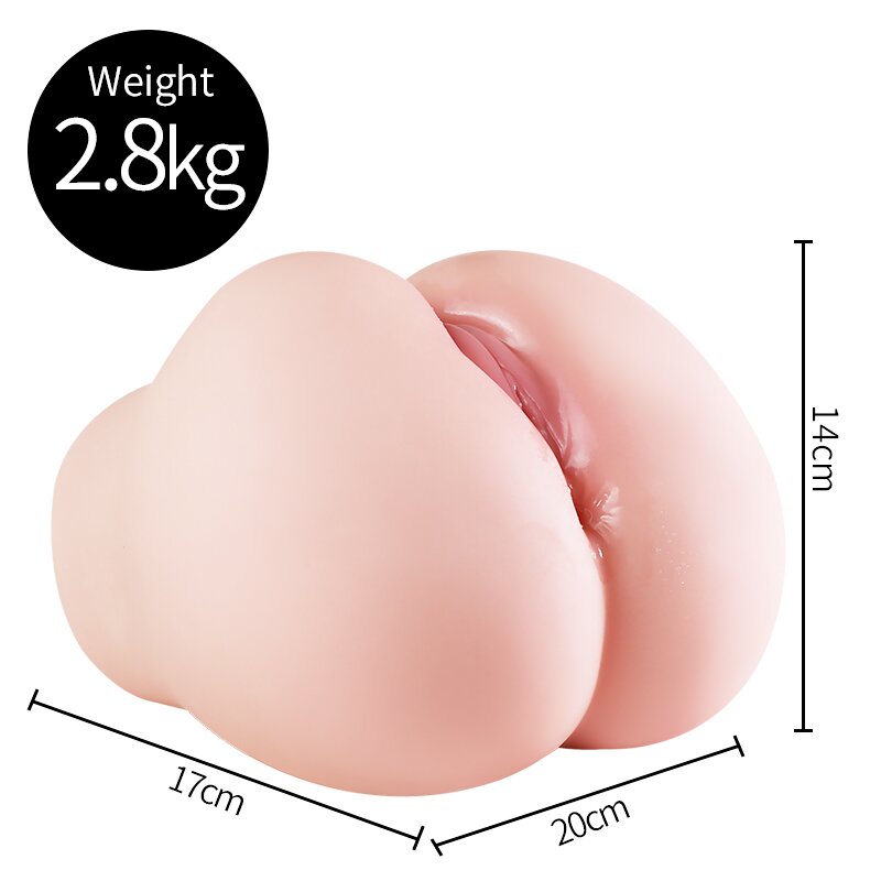 Anatomical Wellness Model — Style 122