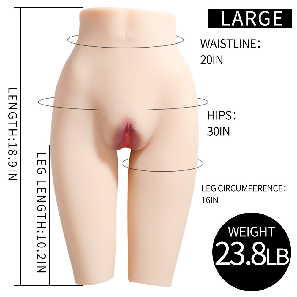 Anatomical Wellness Model — Style 82 (Large)