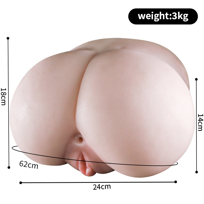 Anatomical Wellness Model — Style 513