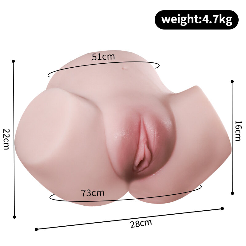 Anatomical Wellness Model — Style 516