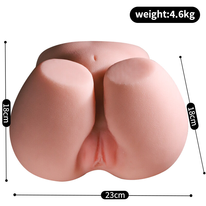 Anatomical Wellness Model — Style 530
