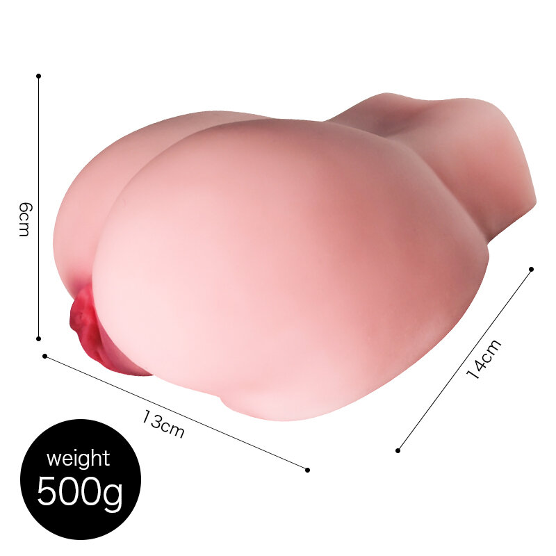 Anatomical Wellness Model — Style 52 — view 2