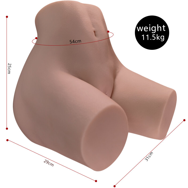 Anatomical Wellness Model — Style 64