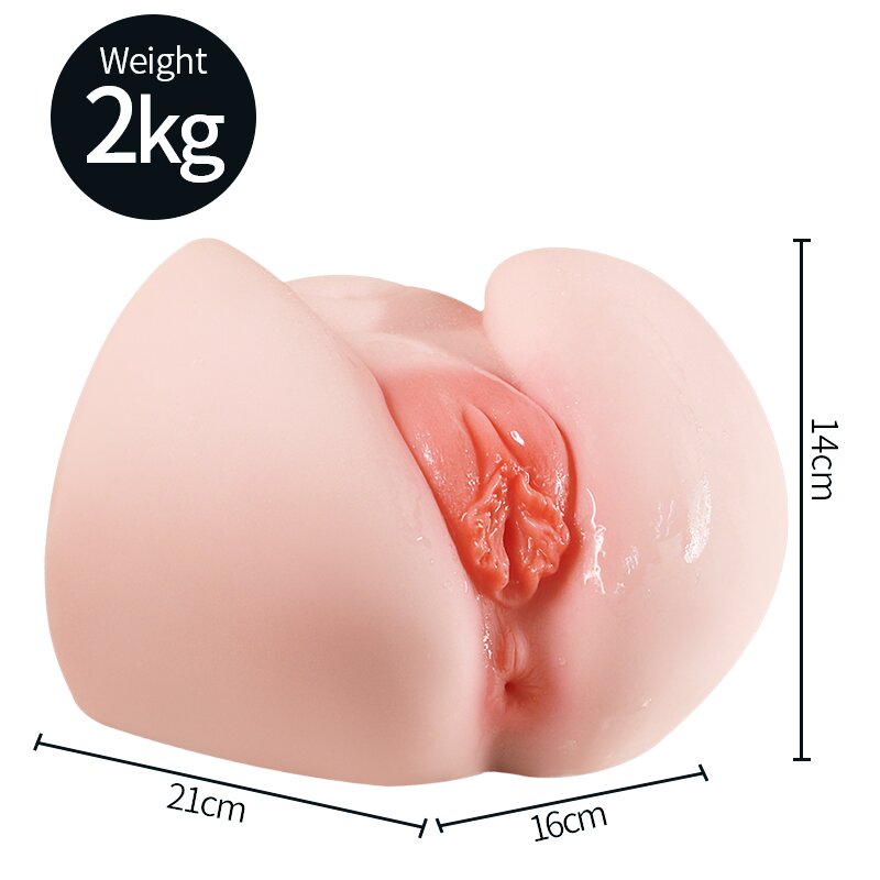 Anatomical Wellness Model — Style 115