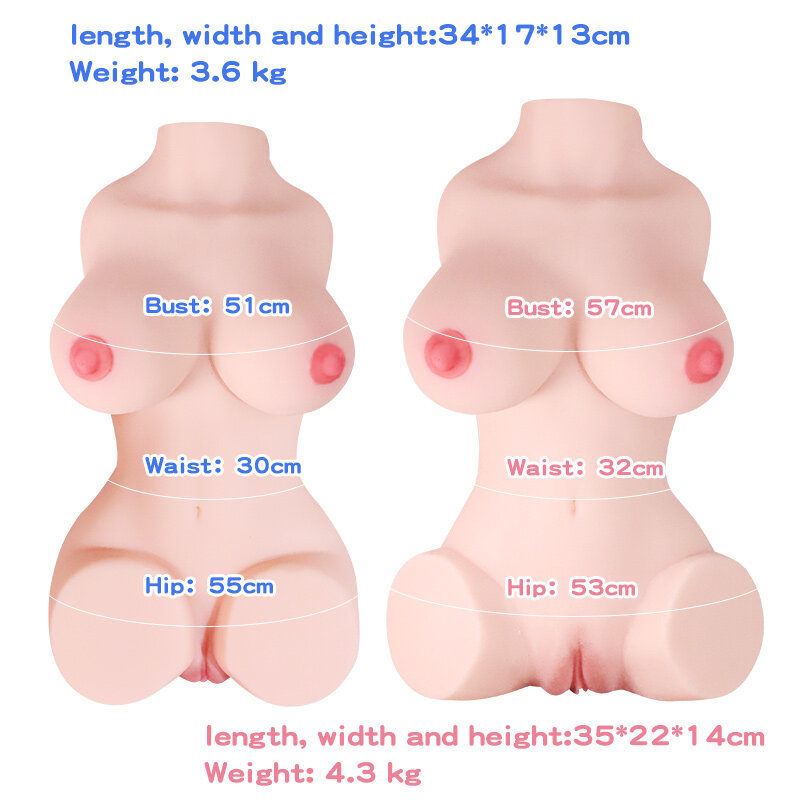 Anatomical Wellness Model — Style 240 — view 2