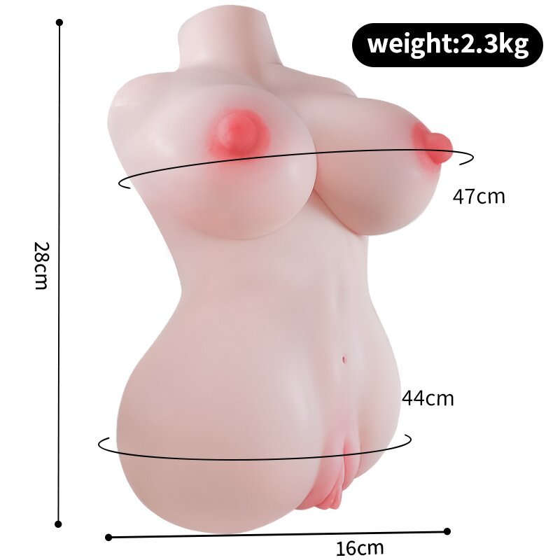 Anatomical Wellness Model — Style 243