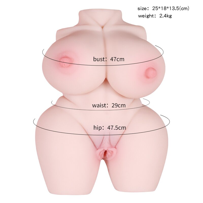 Anatomical Wellness Model — Style 248