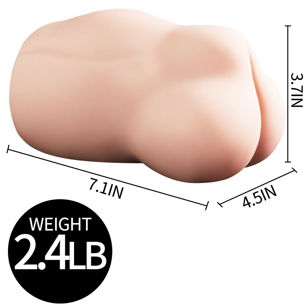Anatomical Wellness Model — Style 330 — view 4