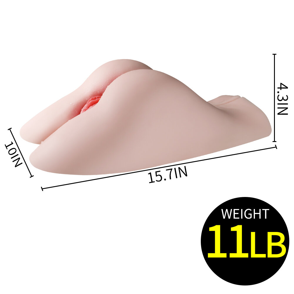 Anatomical Wellness Model — Style 342 — view 4