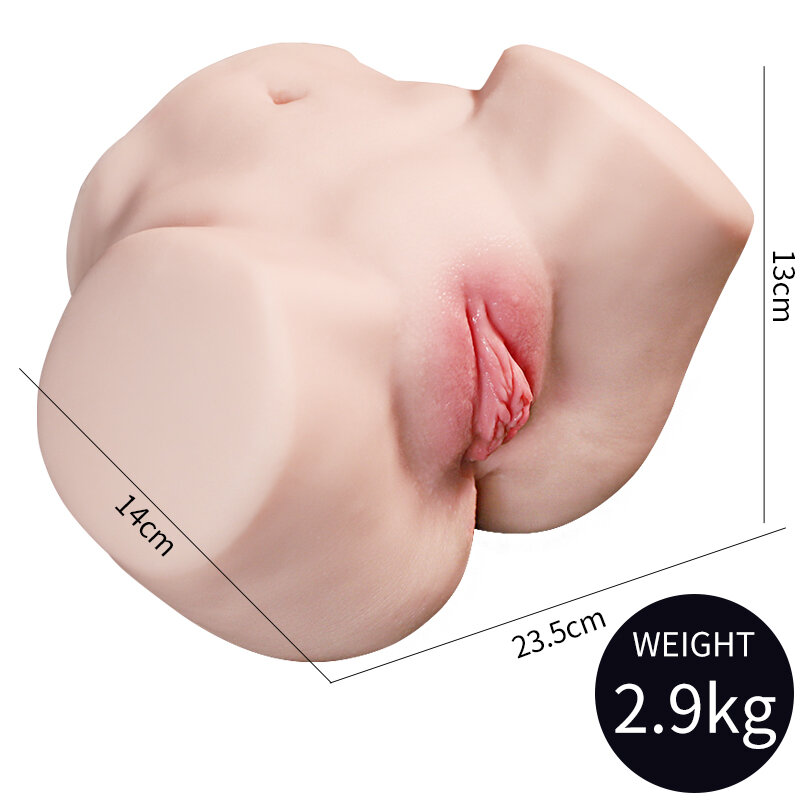 Anatomical Wellness Model — Style 346 — view 3