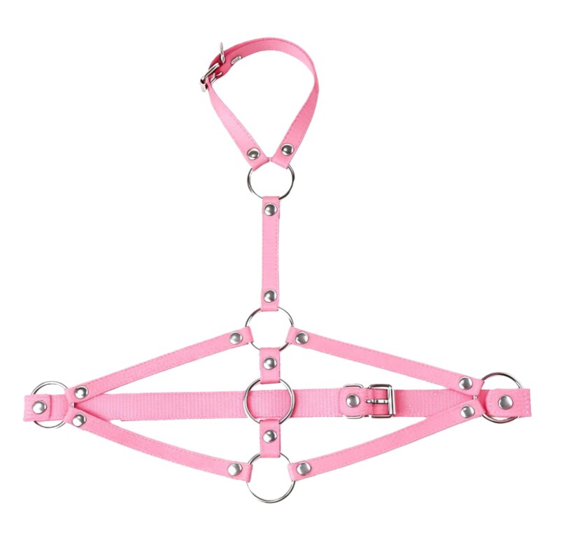 Restraint Strap — Style 19 — view 6