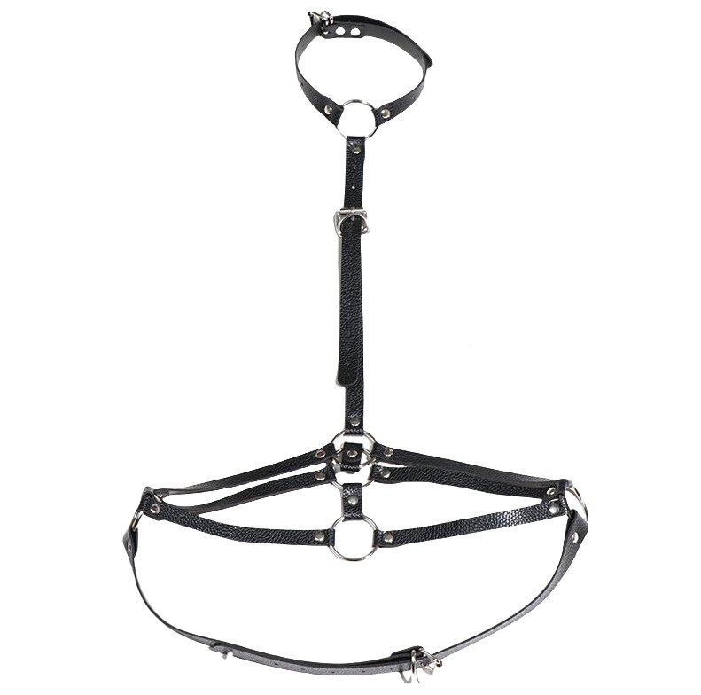 Restraint Strap — Style 22